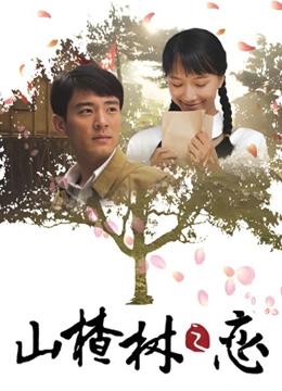 山楂树之恋